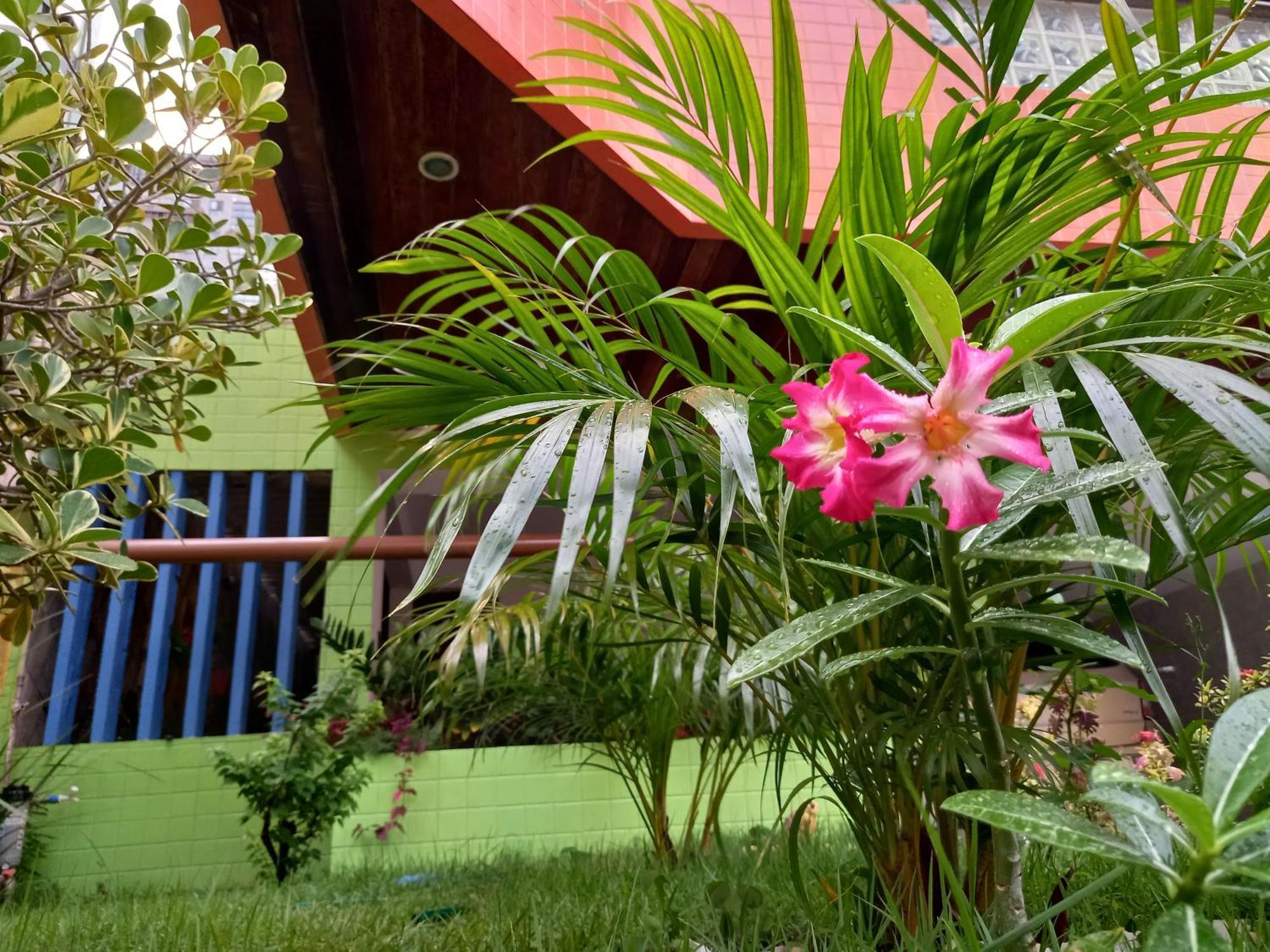 Pousada Aconchego do Tambaú João Pessoa Exterior foto